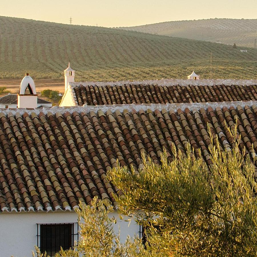 Cortijo Alzamigaja Βίλα Archidona Εξωτερικό φωτογραφία