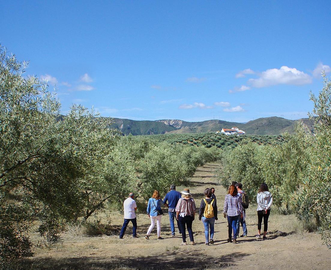 Cortijo Alzamigaja Βίλα Archidona Εξωτερικό φωτογραφία