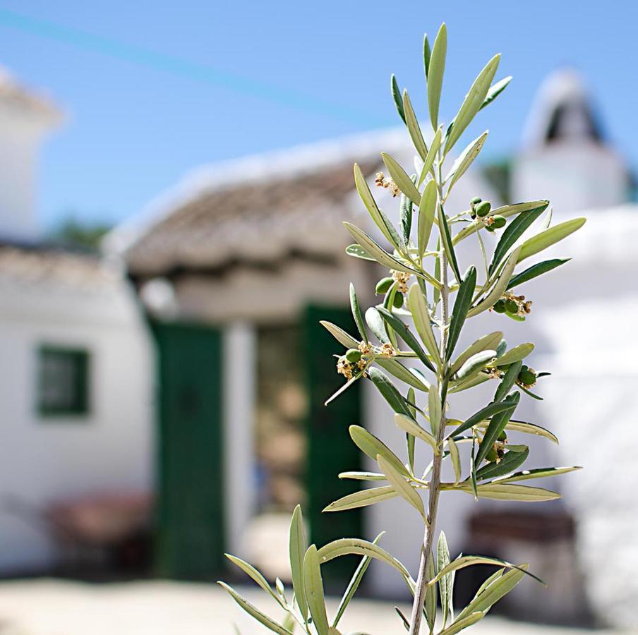 Cortijo Alzamigaja Βίλα Archidona Εξωτερικό φωτογραφία