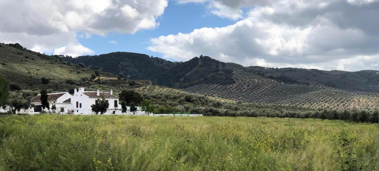 Cortijo Alzamigaja Βίλα Archidona Εξωτερικό φωτογραφία